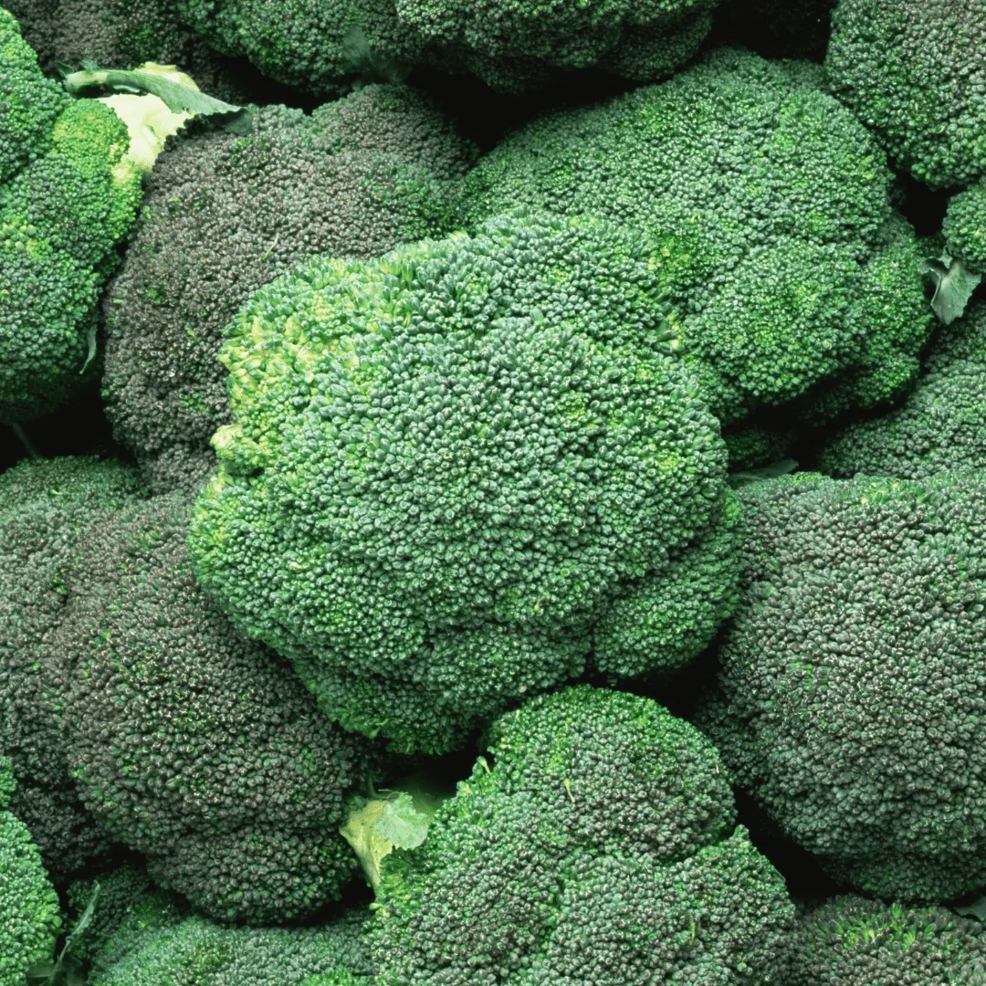 Broccoli Green Magic Seeds | West Coast Seeds