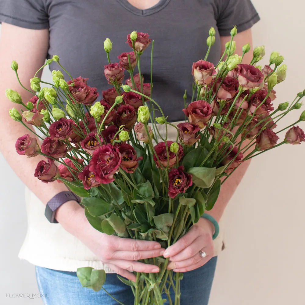 Brown Lisianthus Flower