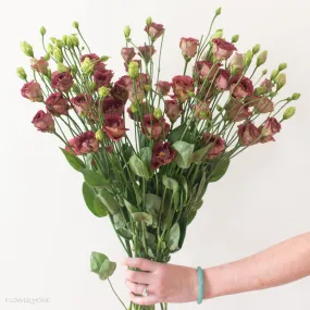 Brown Lisianthus Flower