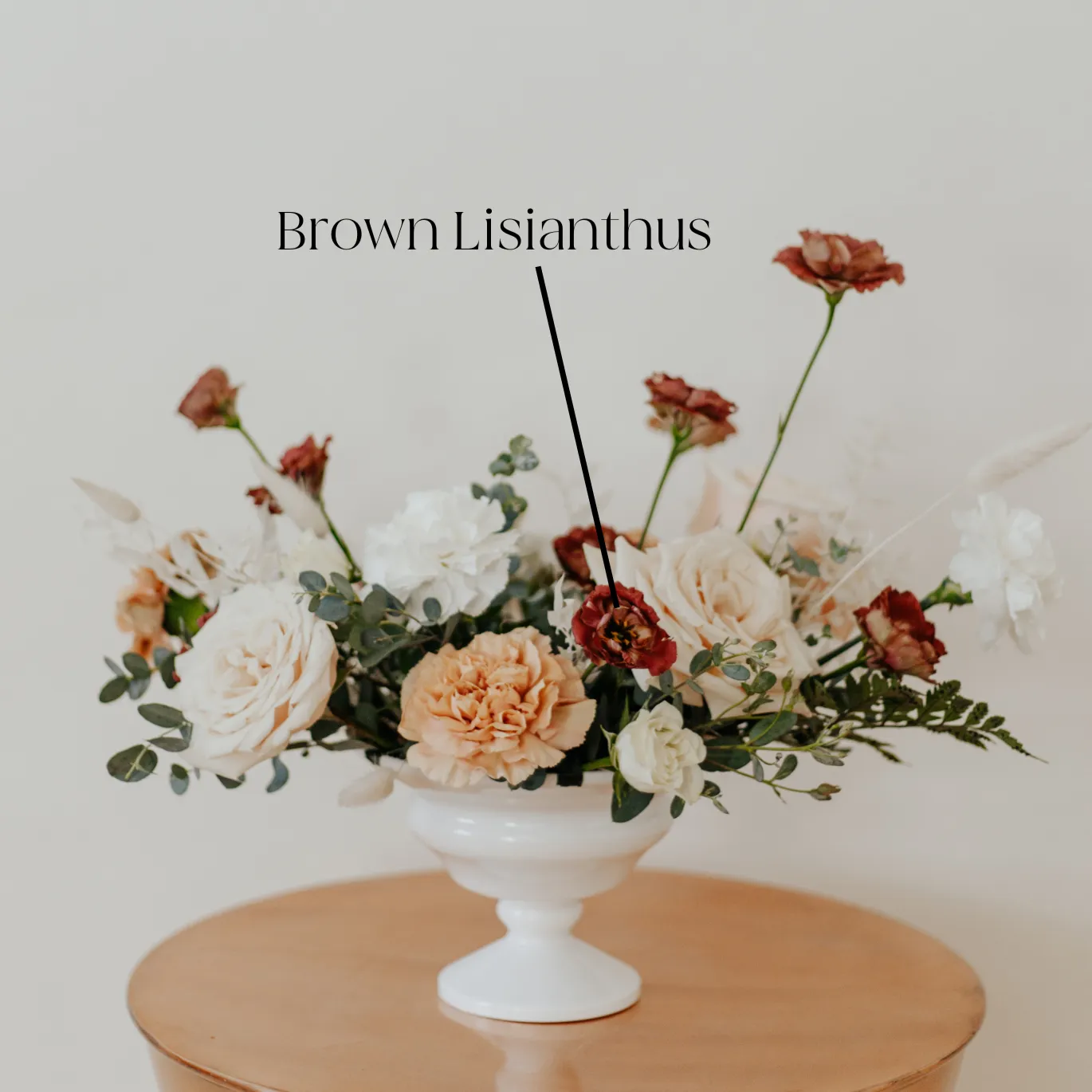 Brown Lisianthus Flower