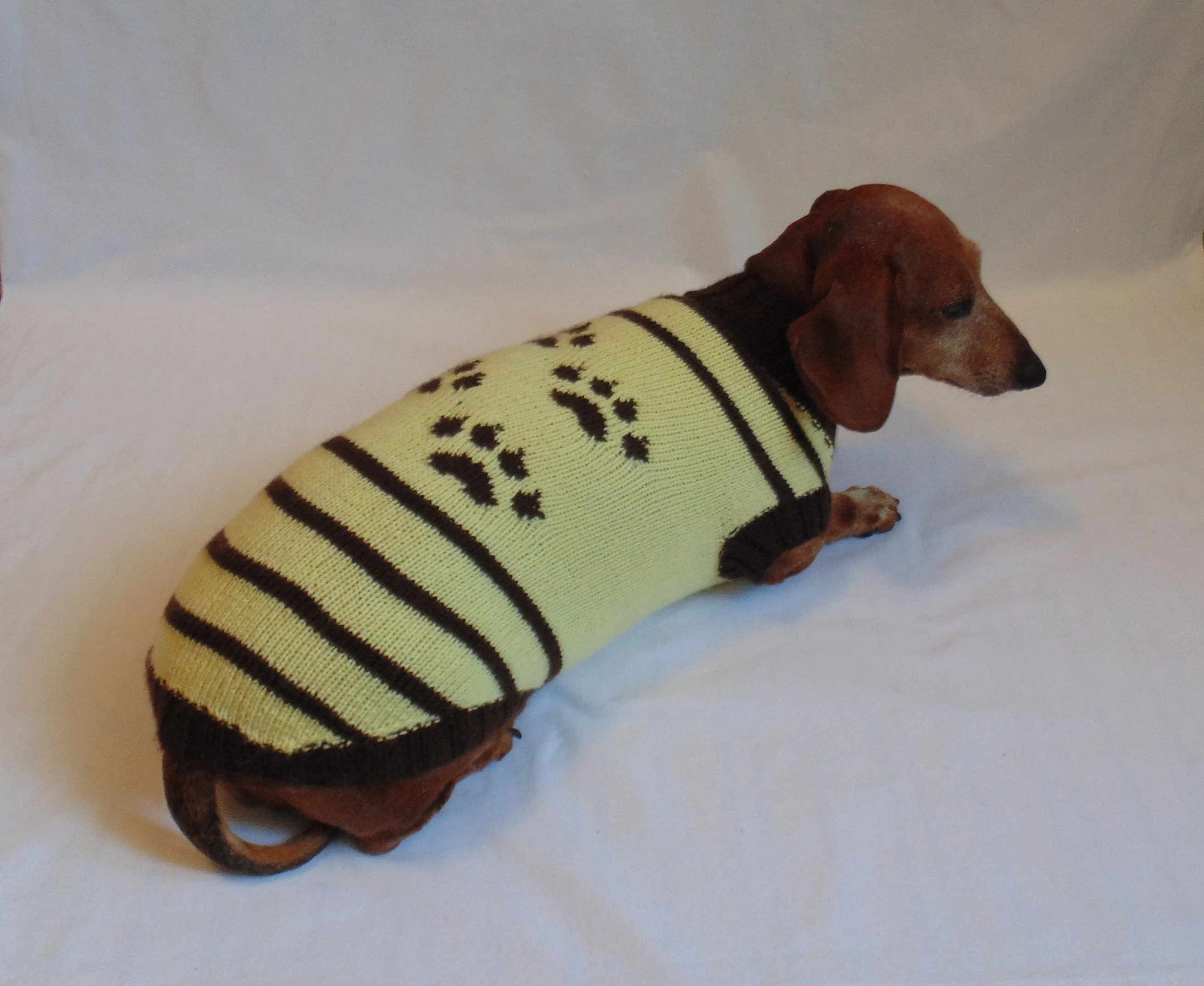 Cardigan with footprints for small dachshund