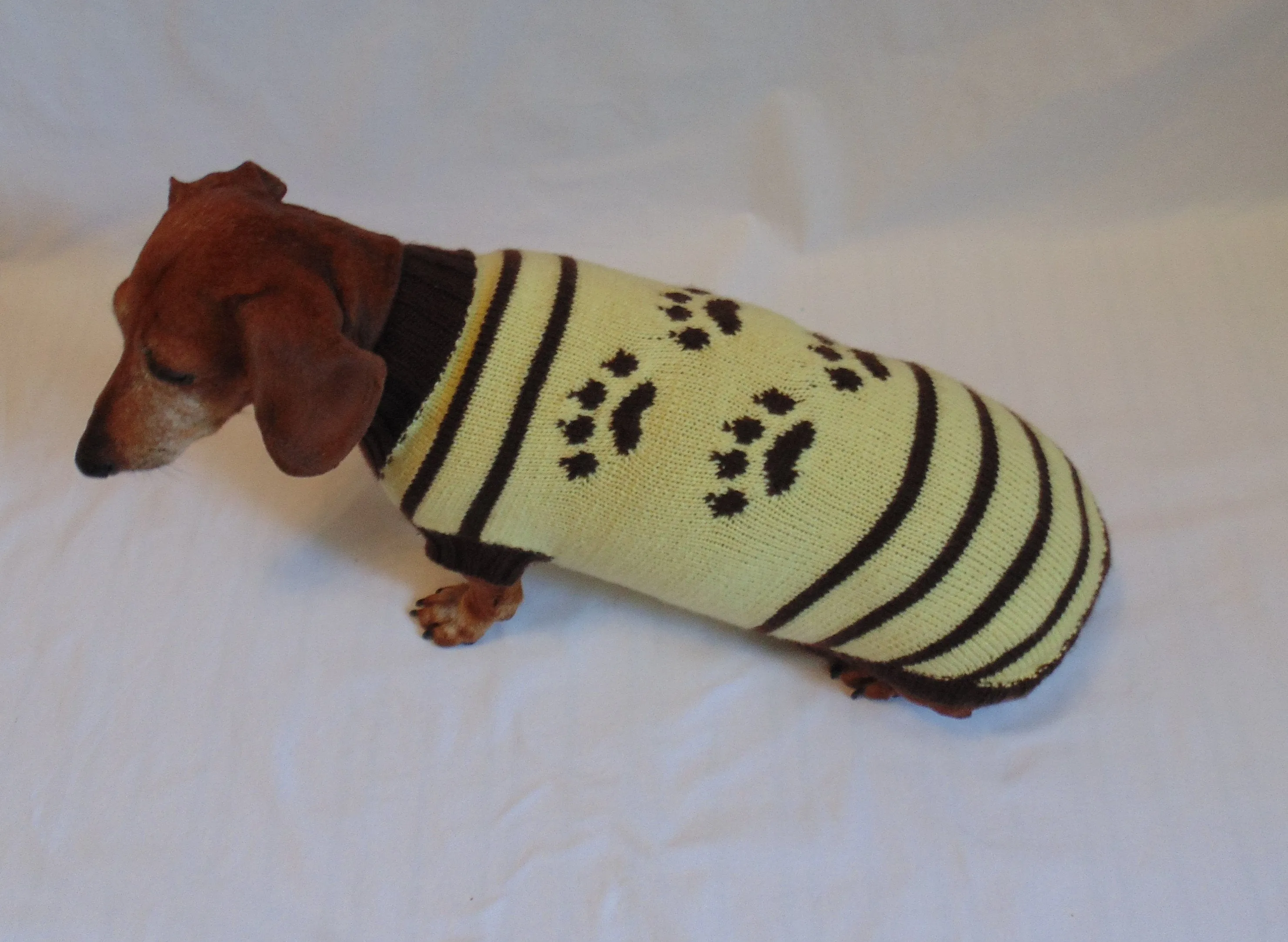 Cardigan with footprints for small dachshund