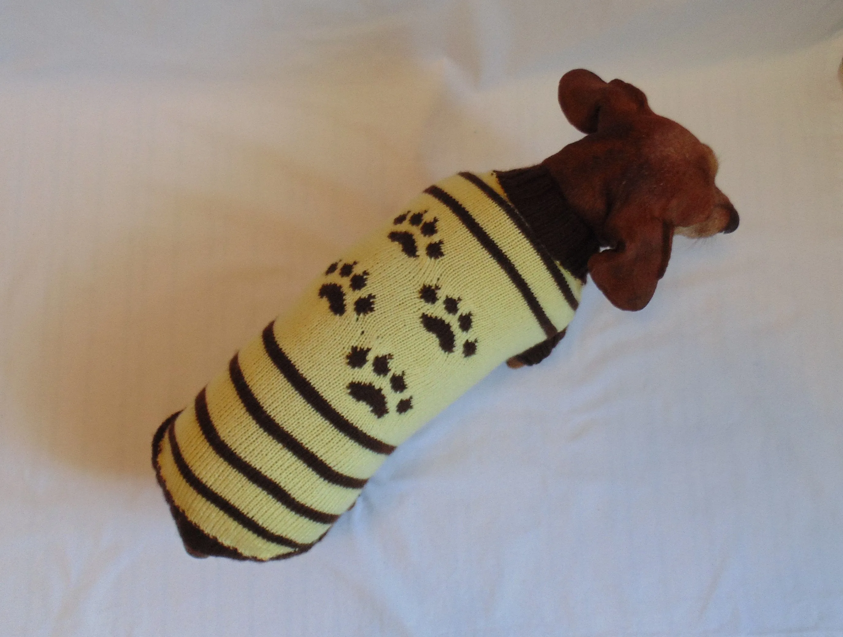 Cardigan with footprints for small dachshund