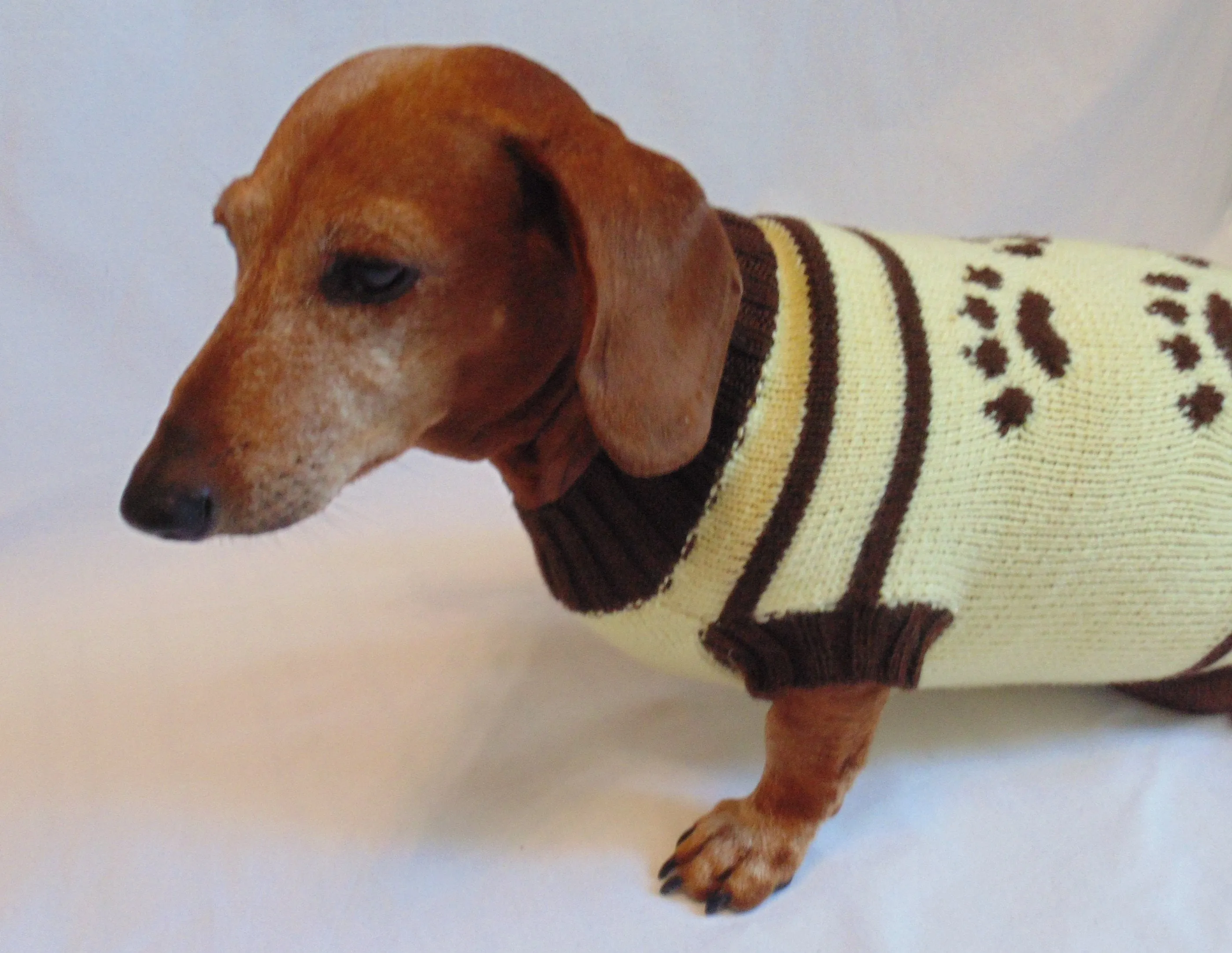 Cardigan with footprints for small dachshund