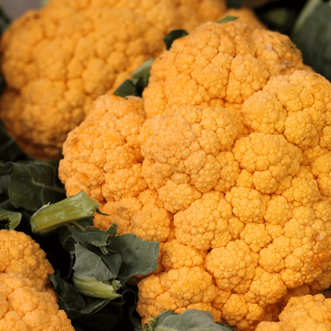 Cauliflower Sunset Seeds | West Coast Seeds