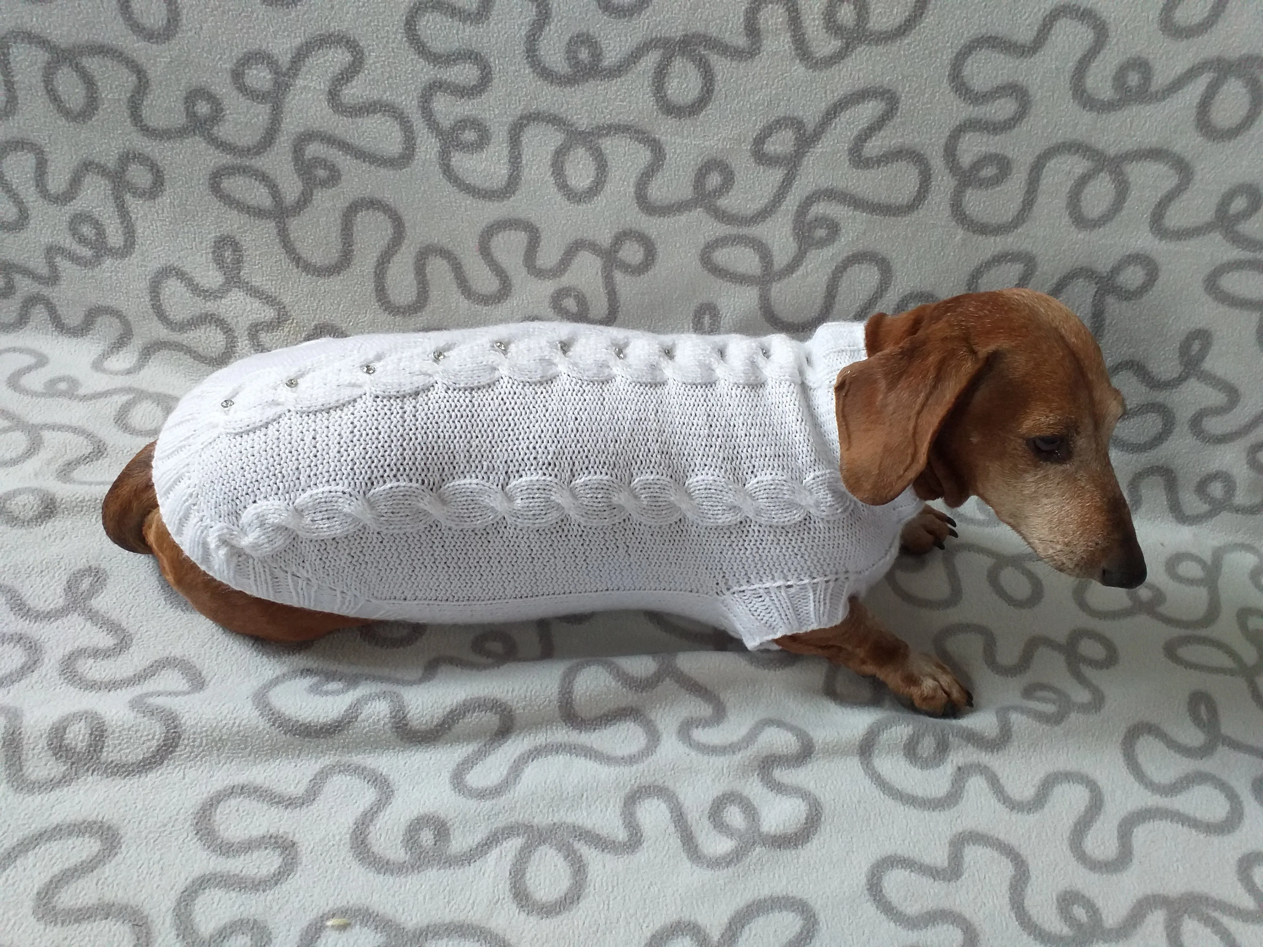 Dachshund Clothing: White Party Sweater, White Dachshund or Small Dog Sweater