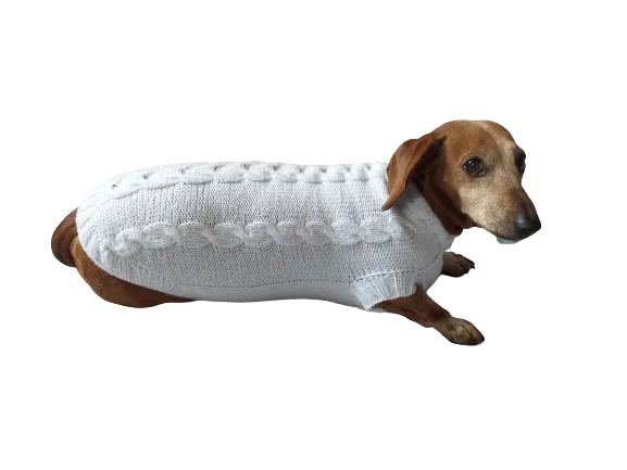 Dachshund Clothing: White Party Sweater, White Dachshund or Small Dog Sweater