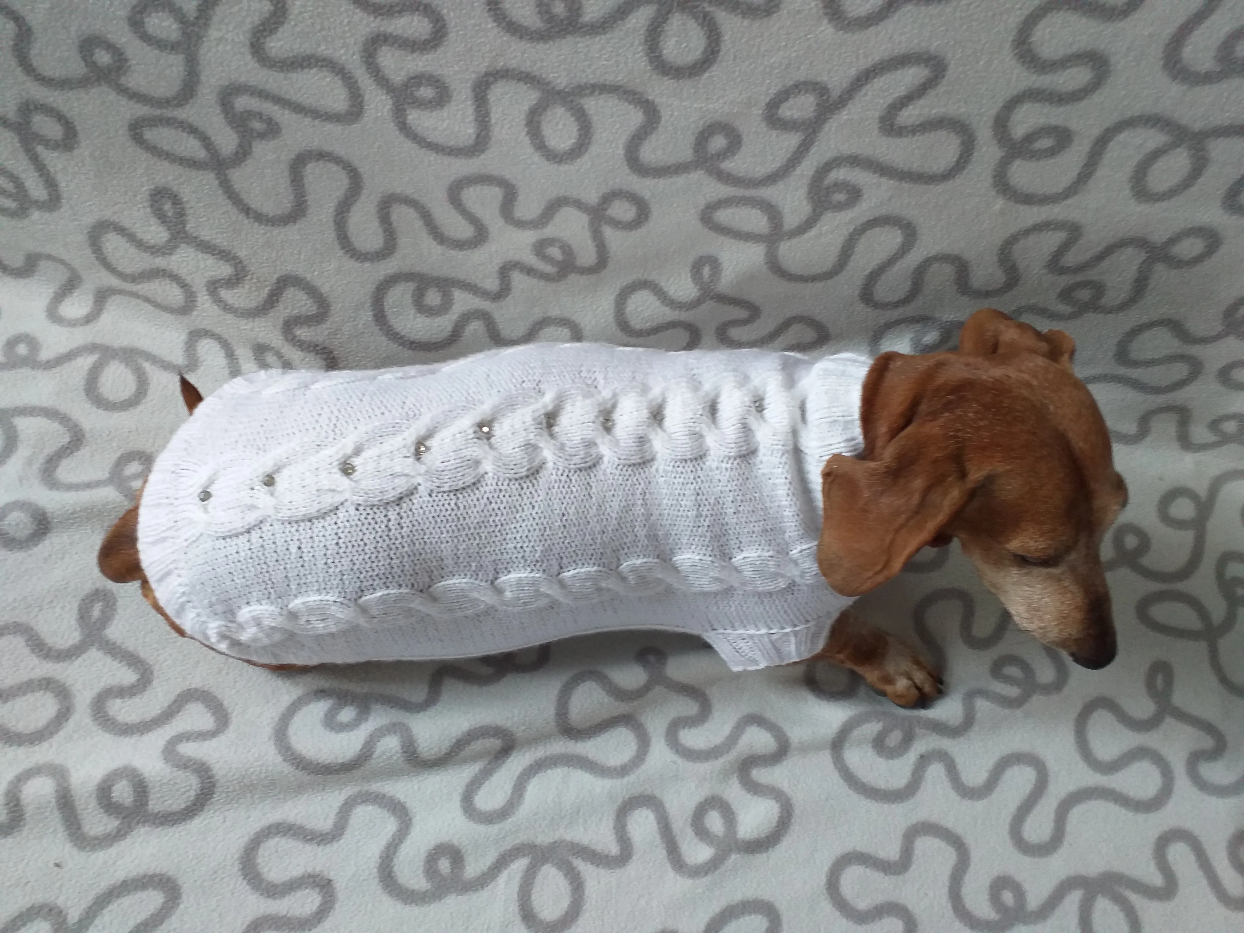 Dachshund Clothing: White Party Sweater, White Dachshund or Small Dog Sweater