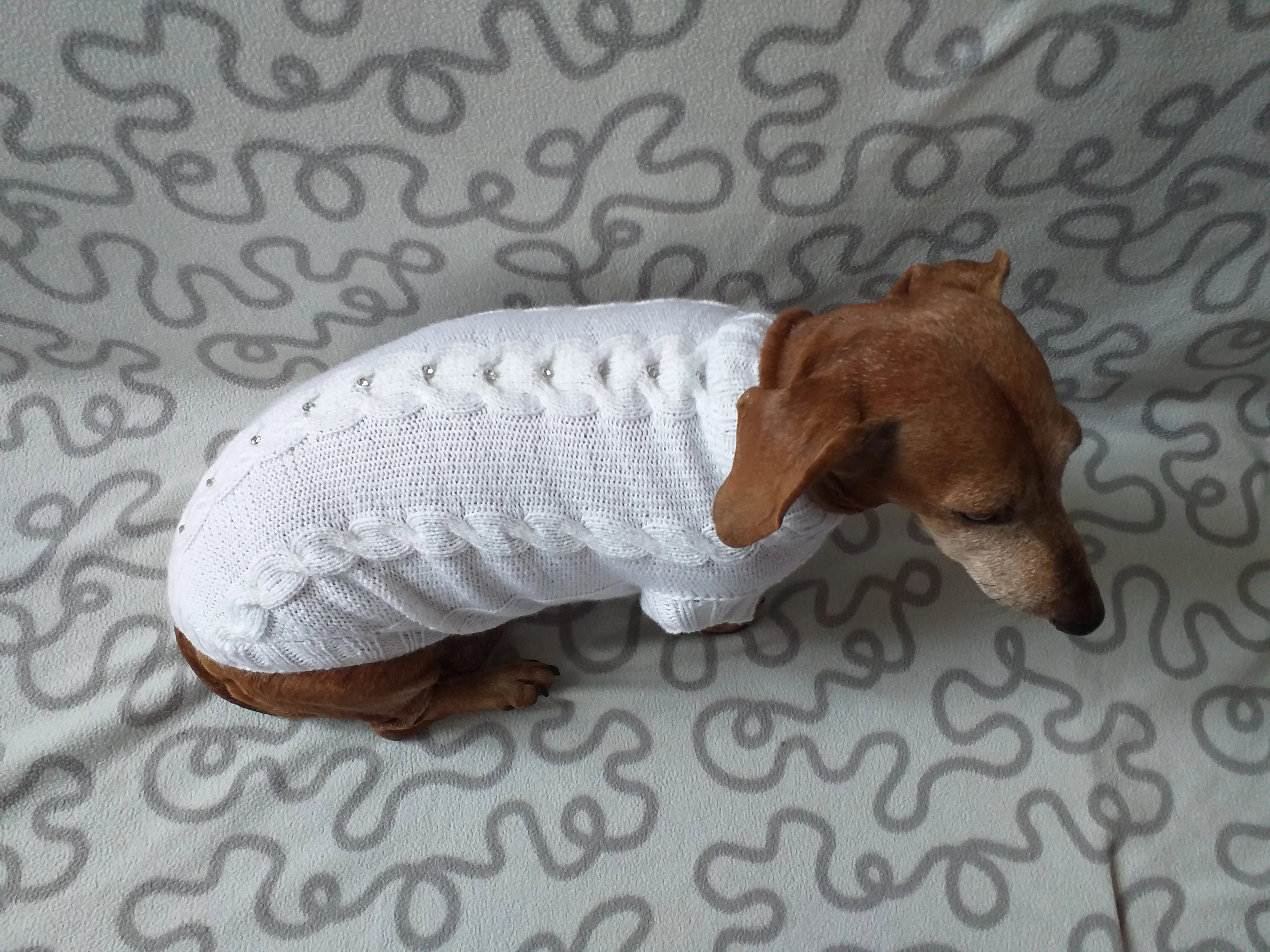 Dachshund Clothing: White Party Sweater, White Dachshund or Small Dog Sweater