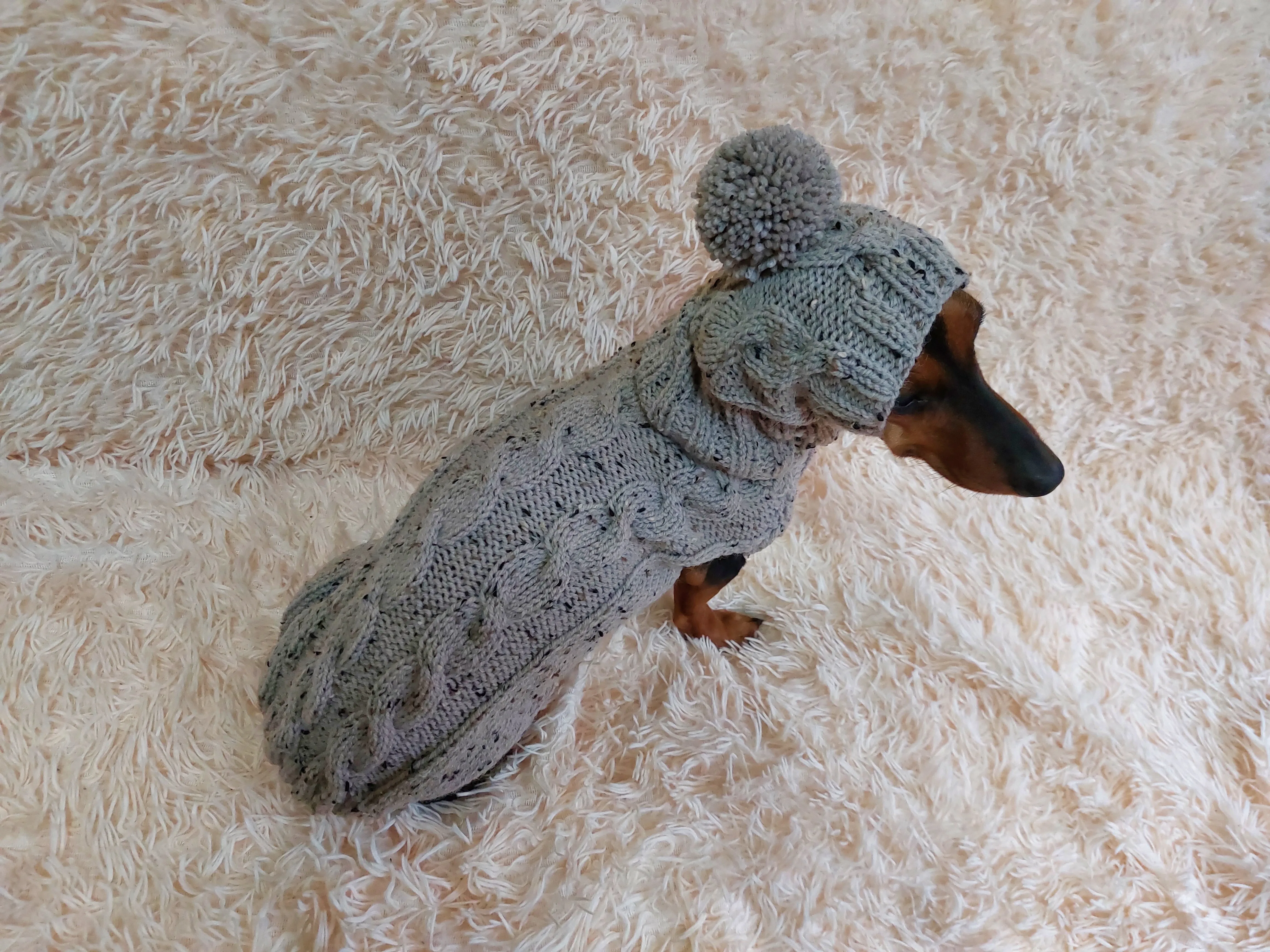 Gray alpaca wool costume with classic arana sweater and hat for dachshund or small dog, winter set sweater and hat for dogs