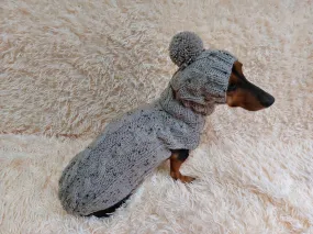 Gray alpaca wool costume with classic arana sweater and hat for dachshund or small dog, winter set sweater and hat for dogs