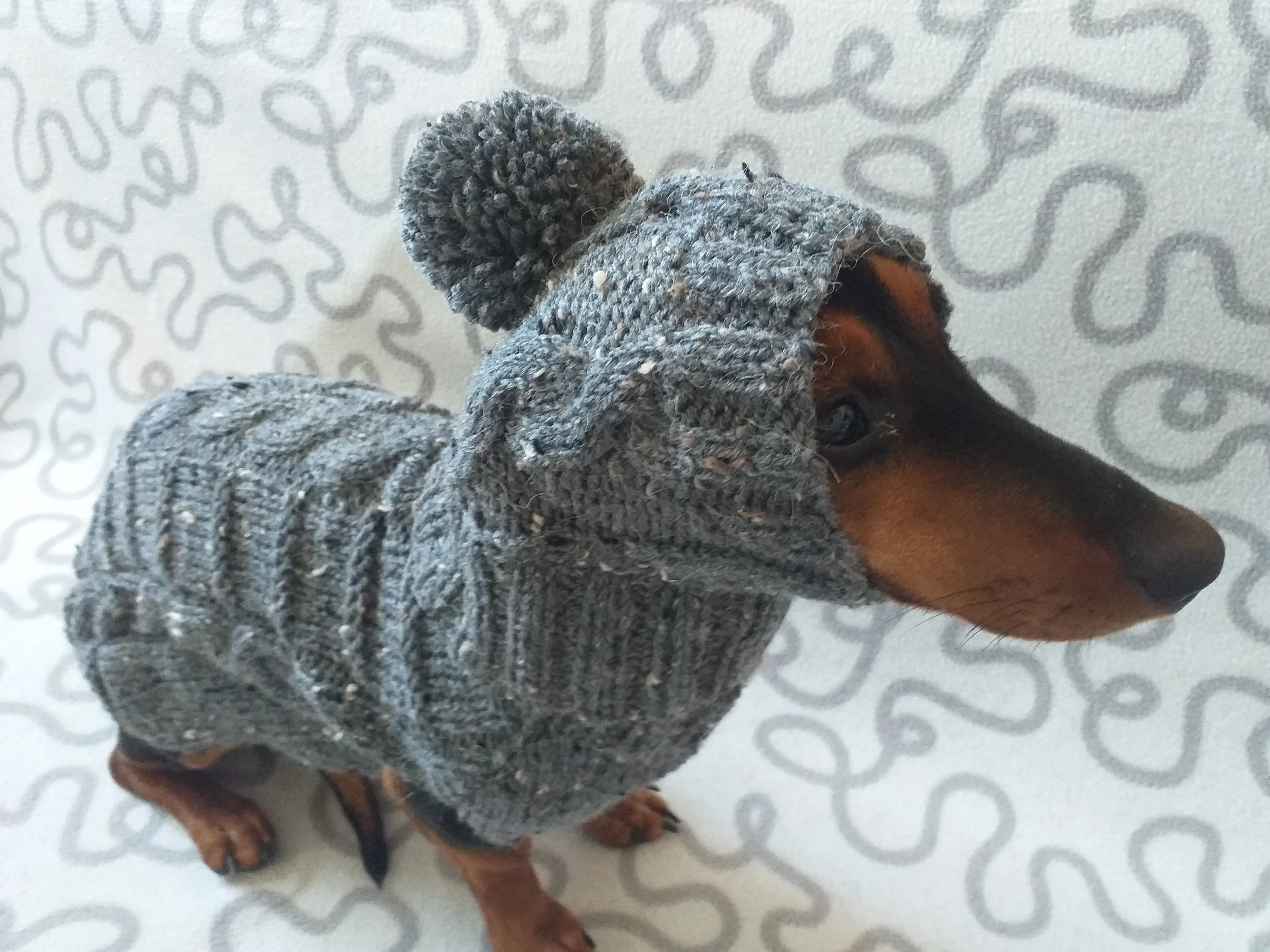 Gray alpaca wool costume with classic arana sweater and hat for dachshund or small dog, winter set sweater and hat for dogs