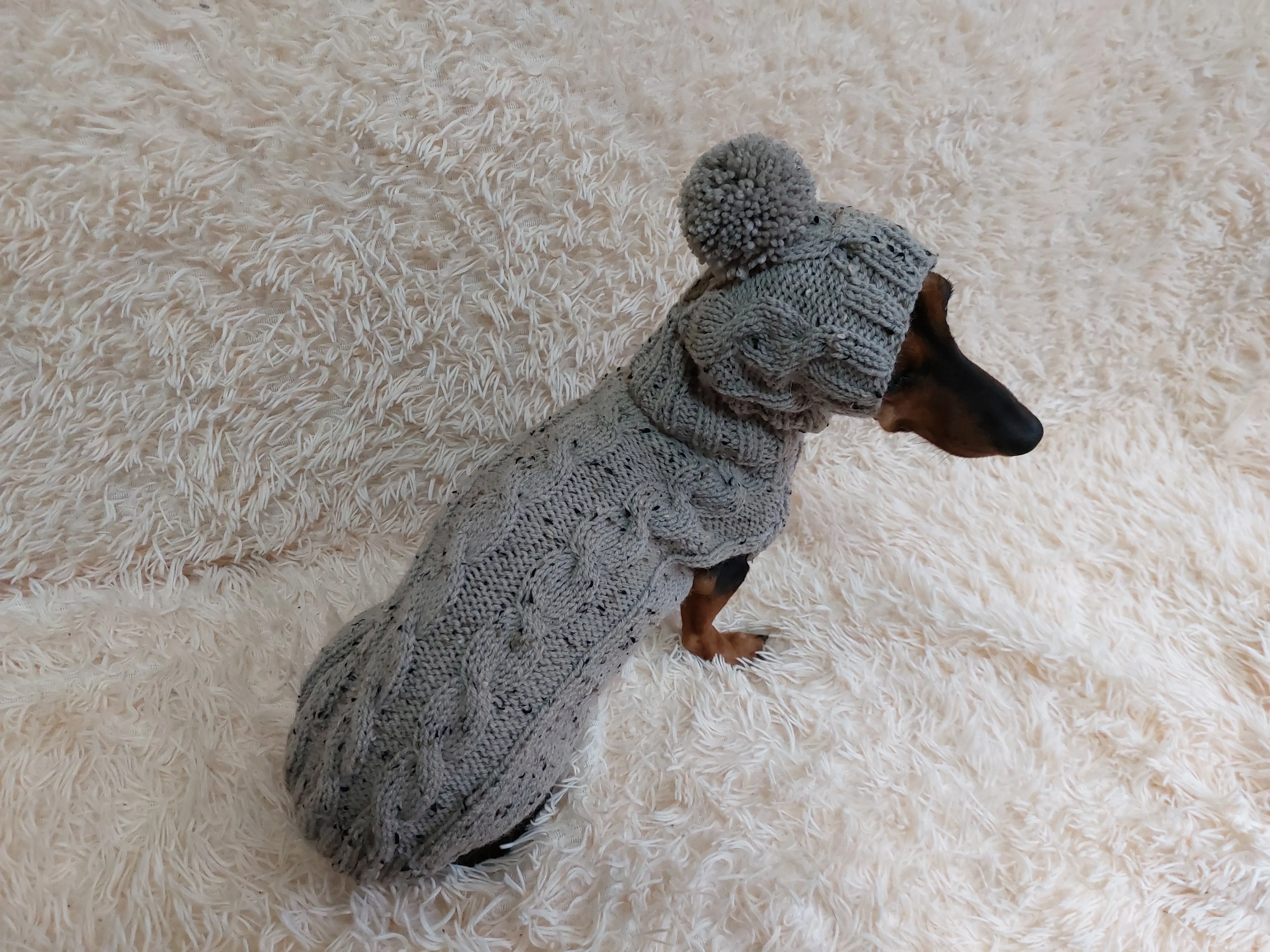 Gray alpaca wool costume with classic arana sweater and hat for dachshund or small dog, winter set sweater and hat for dogs