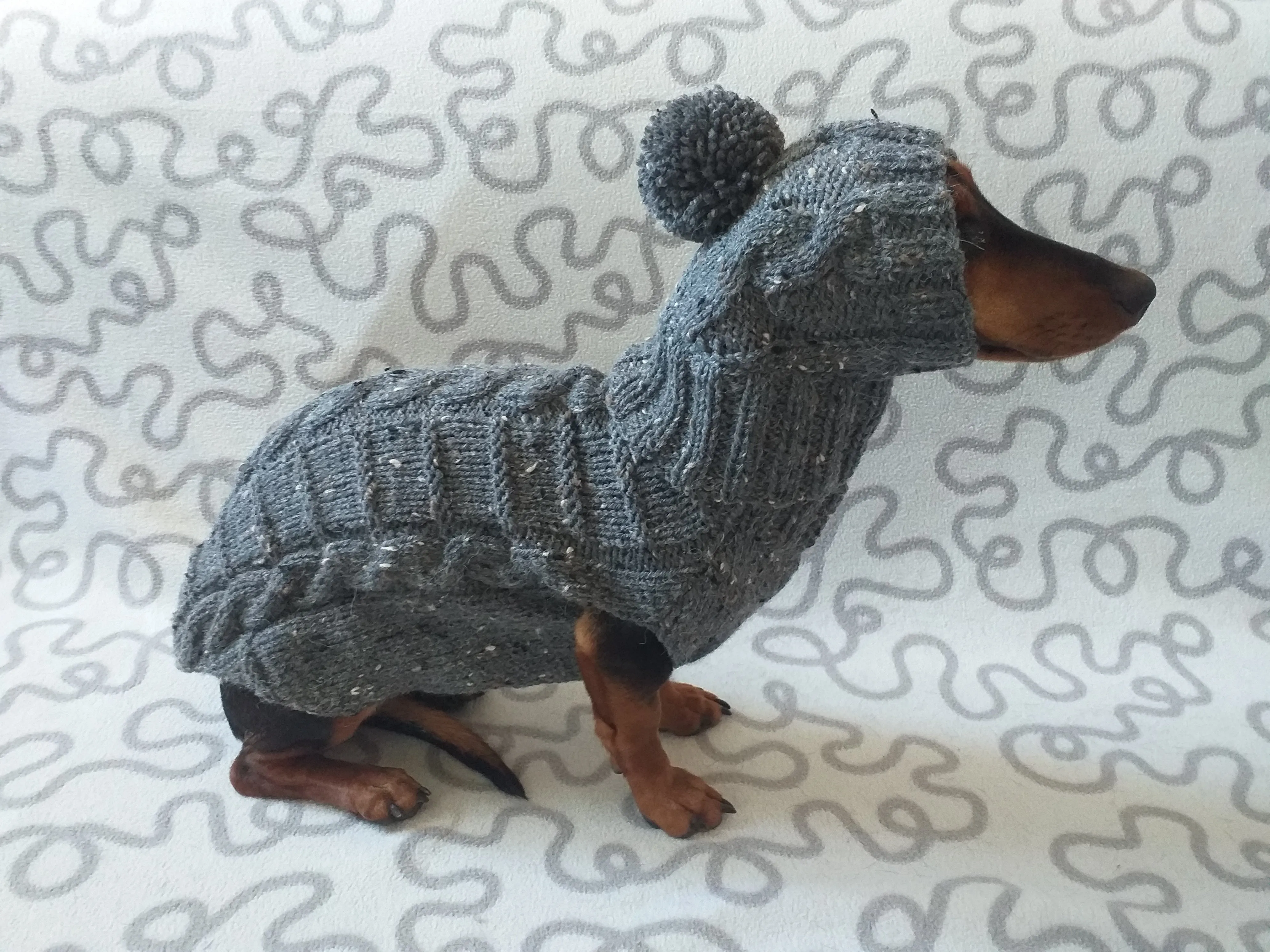 Gray alpaca wool costume with classic arana sweater and hat for dachshund or small dog, winter set sweater and hat for dogs