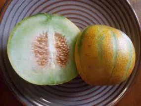 Haogen Melon