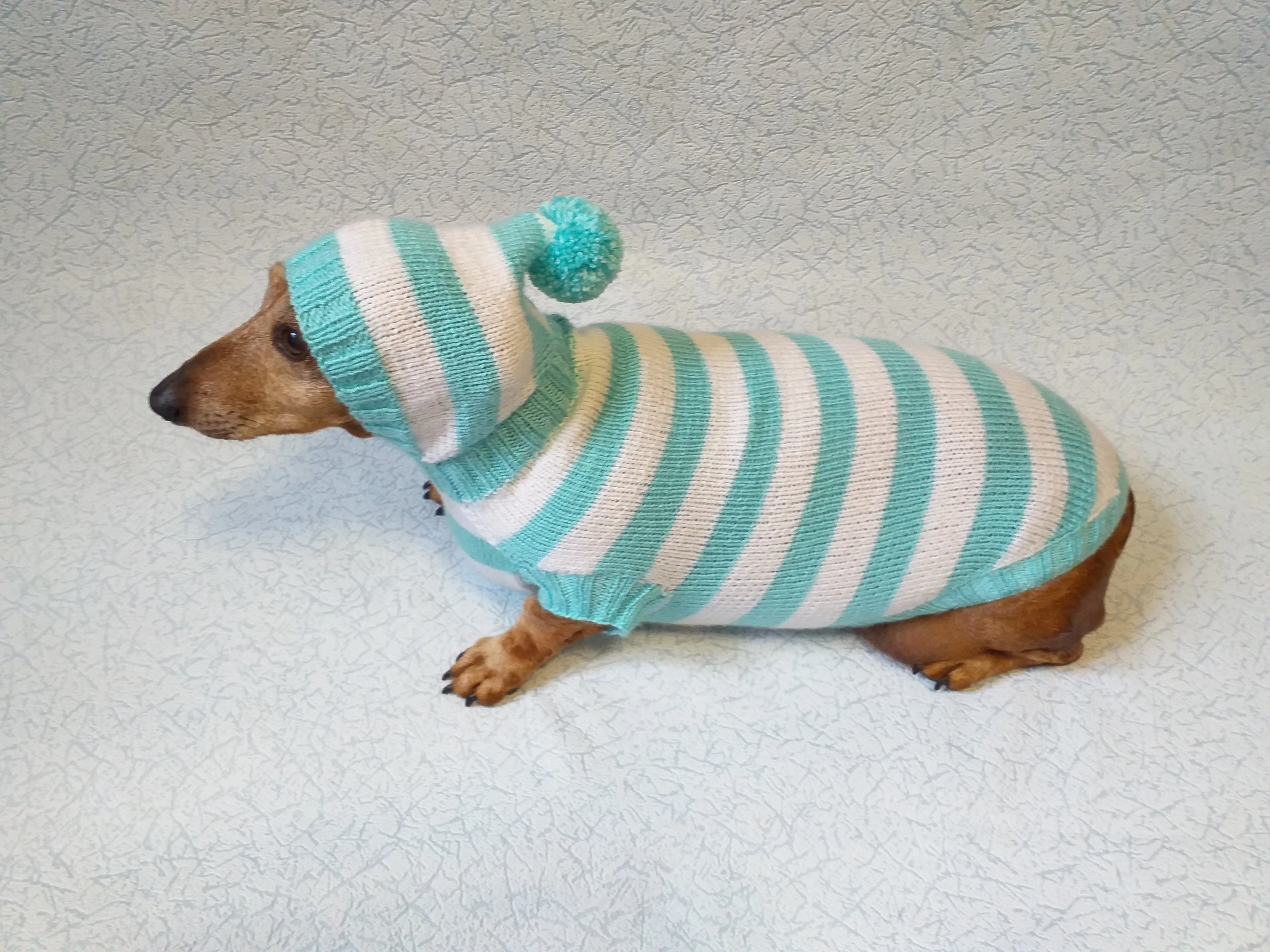 Knitted dachshund sweater with striped hood and pompom, hoodie for dachshund