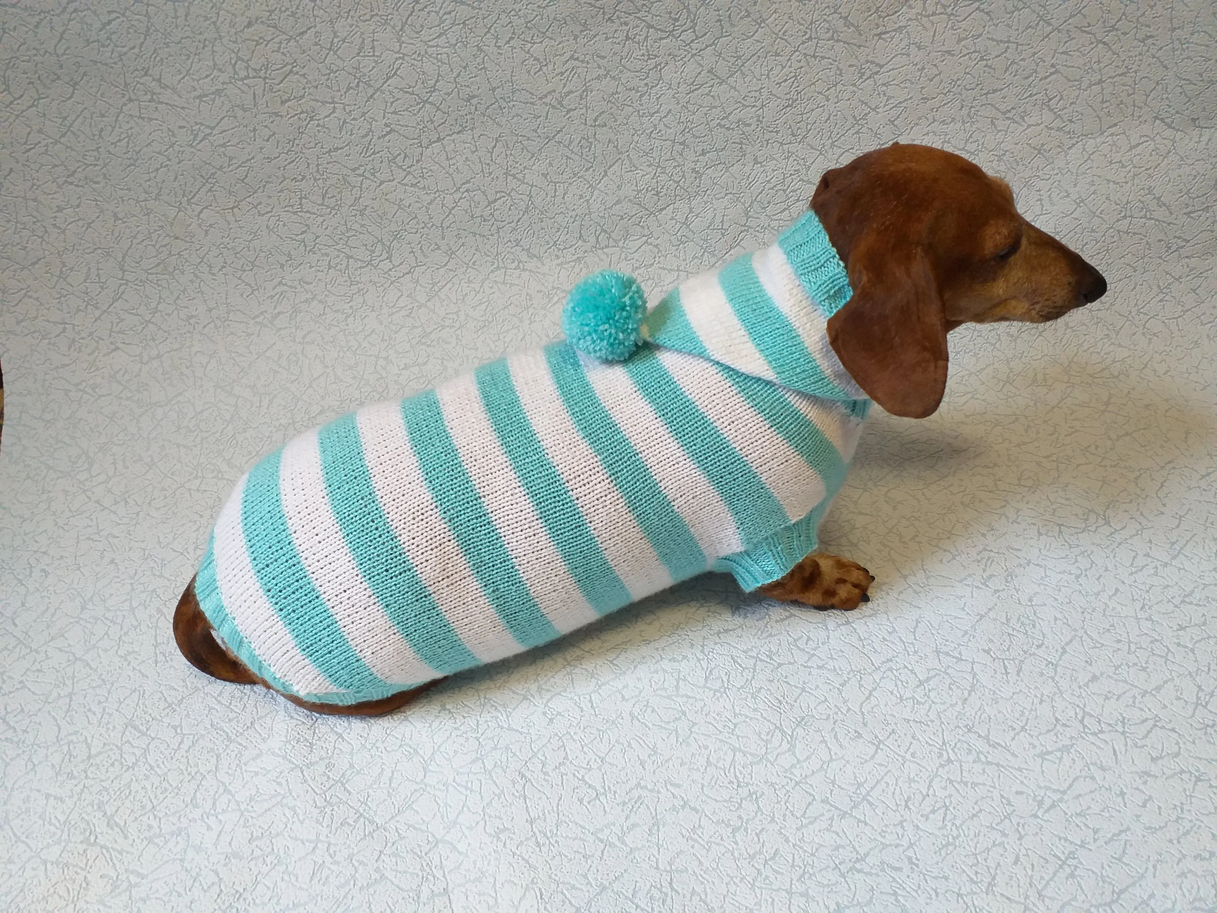 Knitted dachshund sweater with striped hood and pompom, hoodie for dachshund