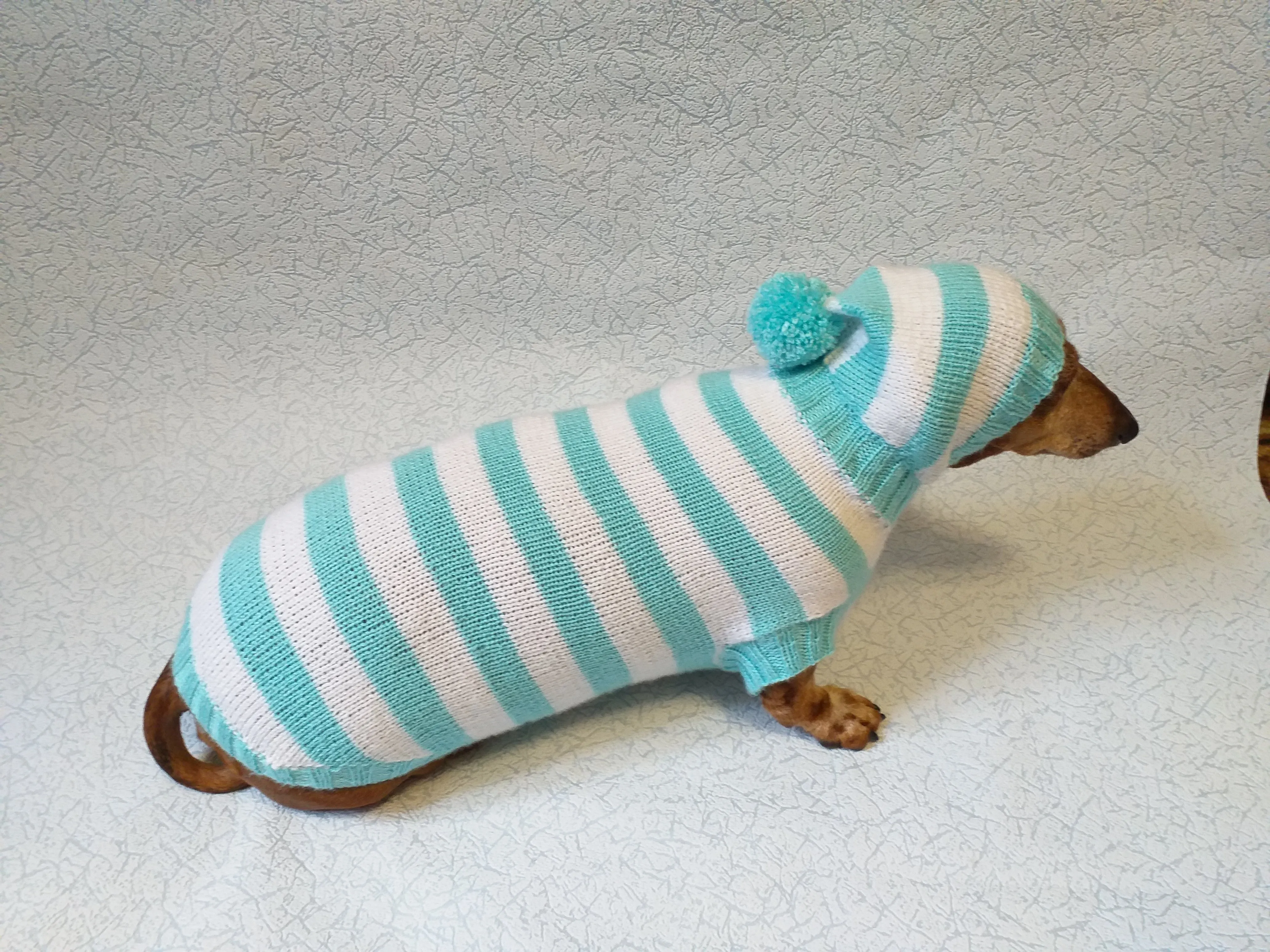 Knitted dachshund sweater with striped hood and pompom, hoodie for dachshund