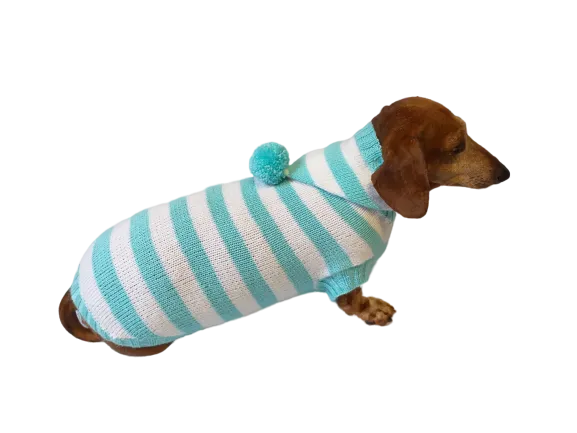 Knitted dachshund sweater with striped hood and pompom, hoodie for dachshund