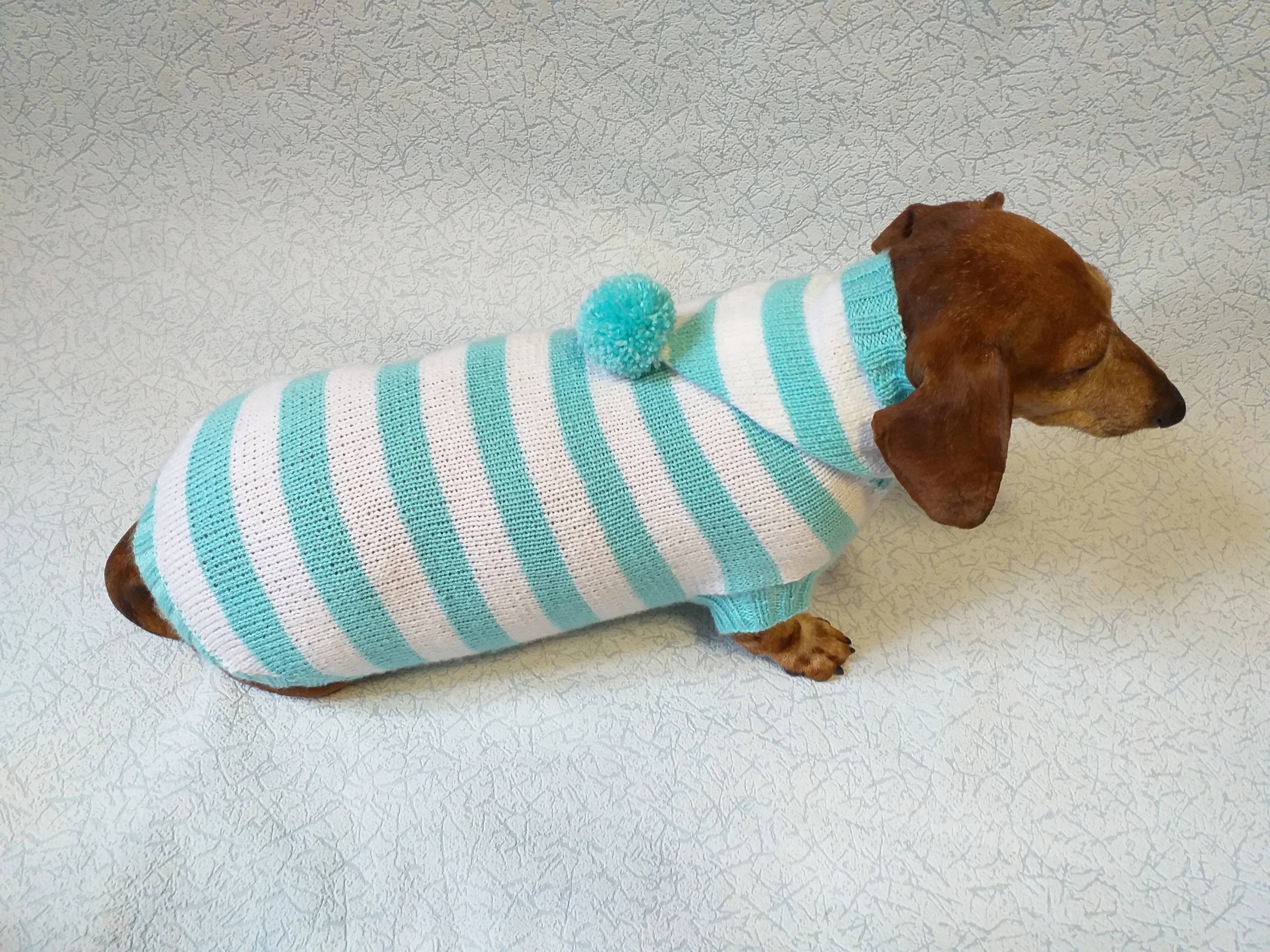 Knitted dachshund sweater with striped hood and pompom, hoodie for dachshund