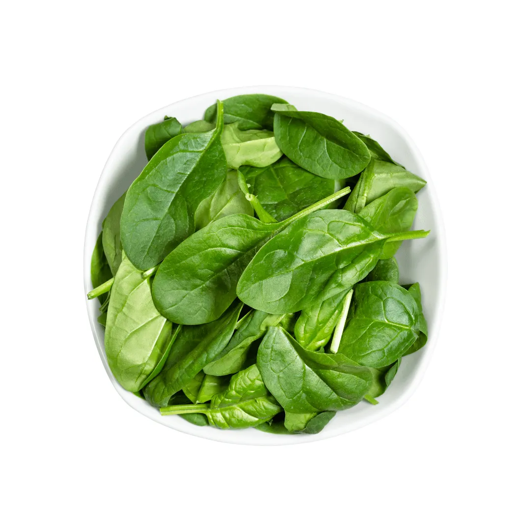 Spinach Matador Seeds | Weston Seeds