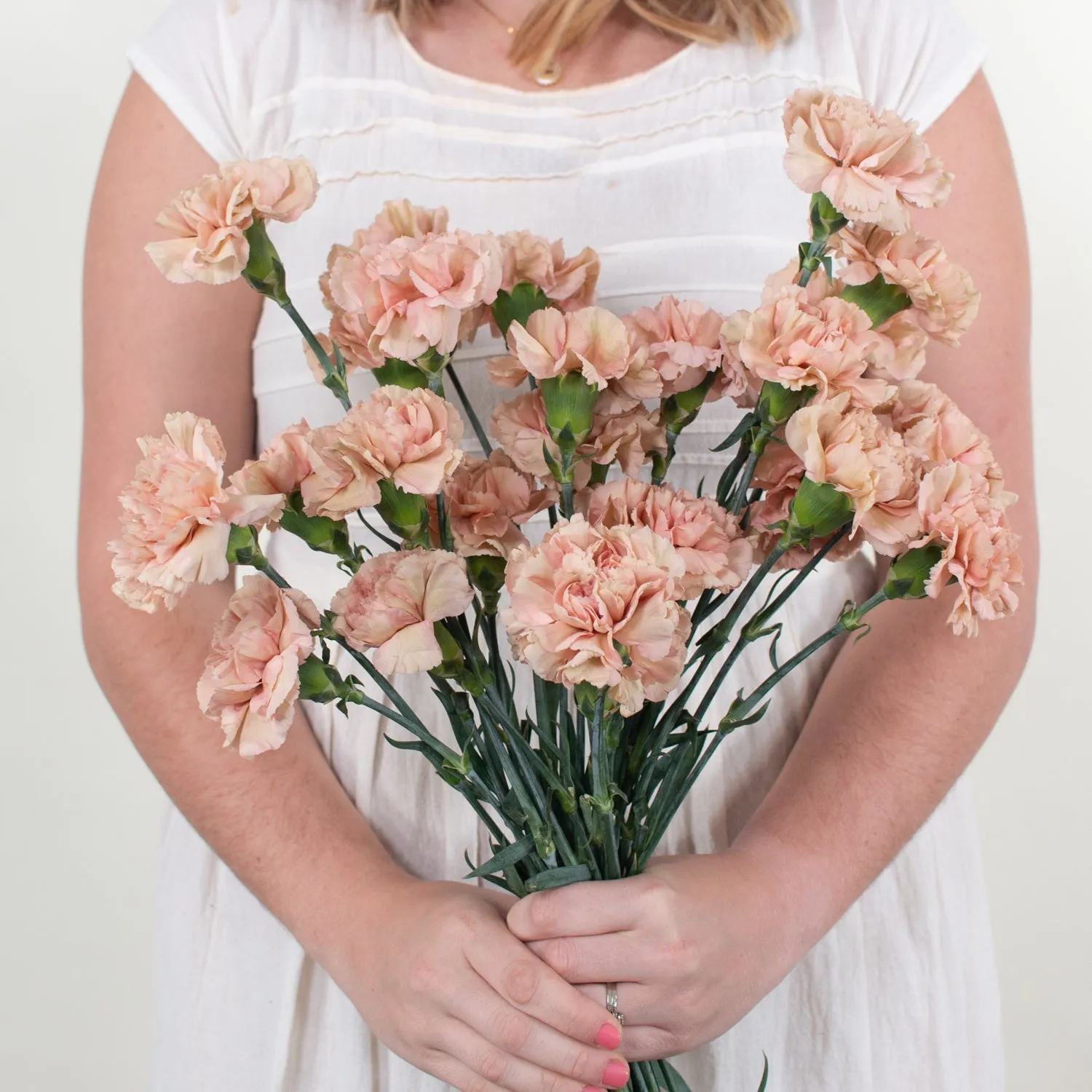 Terracotta Fancy Carnation Flower