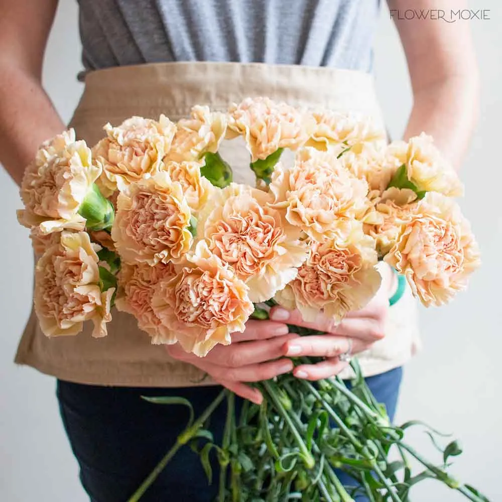 Terracotta Fancy Carnation Flower