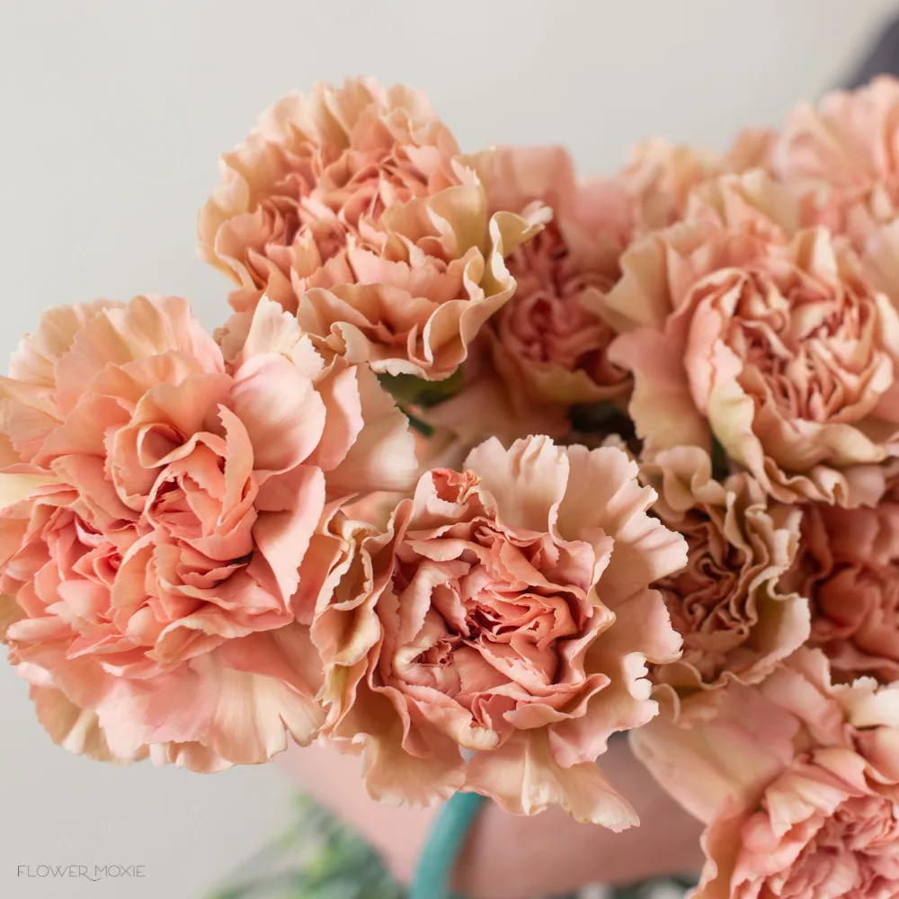 Terracotta Fancy Carnation Flower