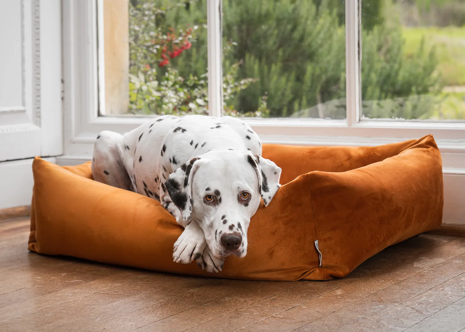 Velvet Burnham Bolster Dog Bed - Burnt Orange