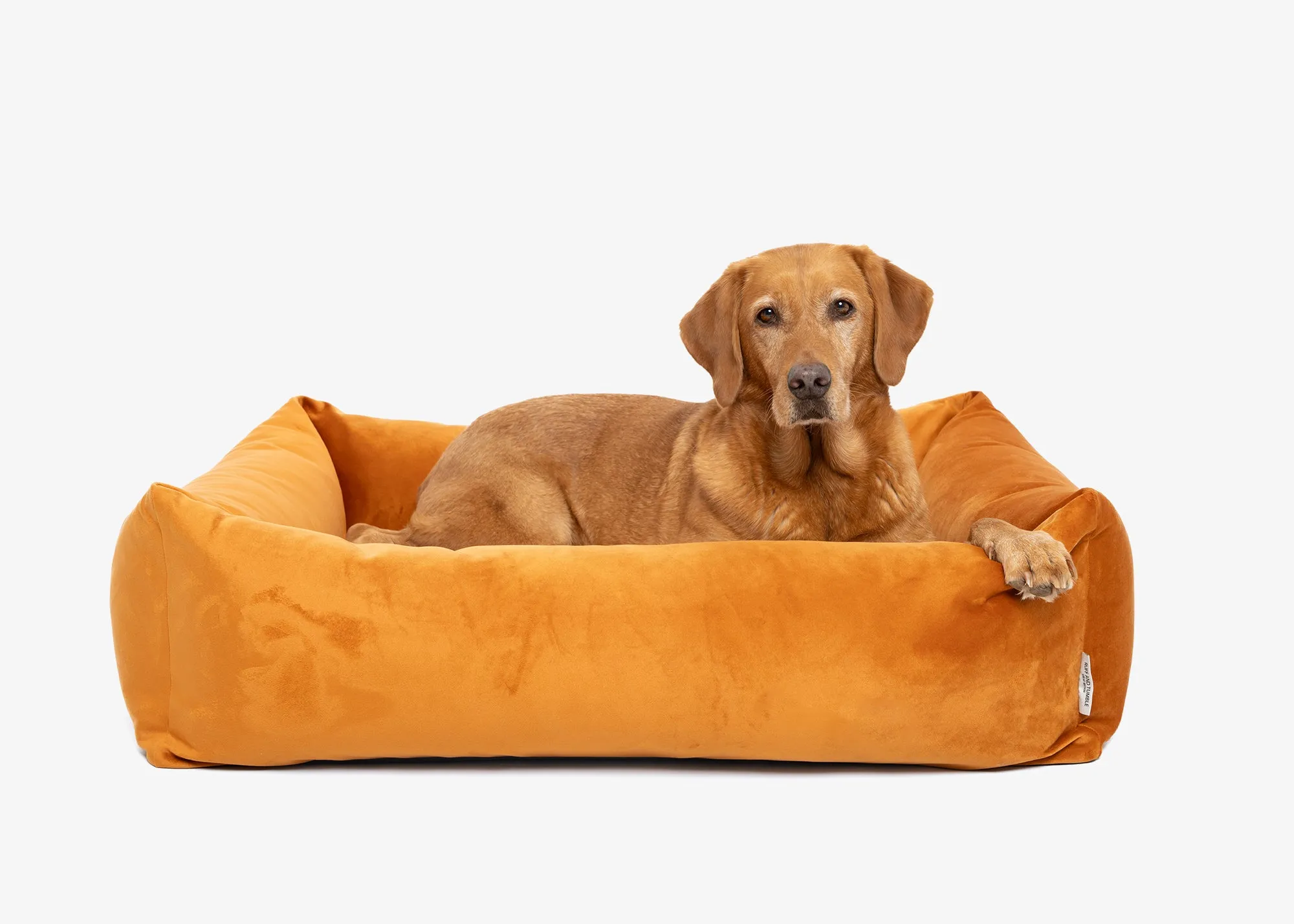 Velvet Burnham Bolster Dog Bed - Burnt Orange