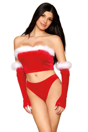 Velvet Santa Bustier Set